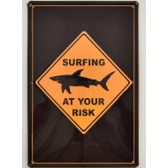 Surfing at Your Risk